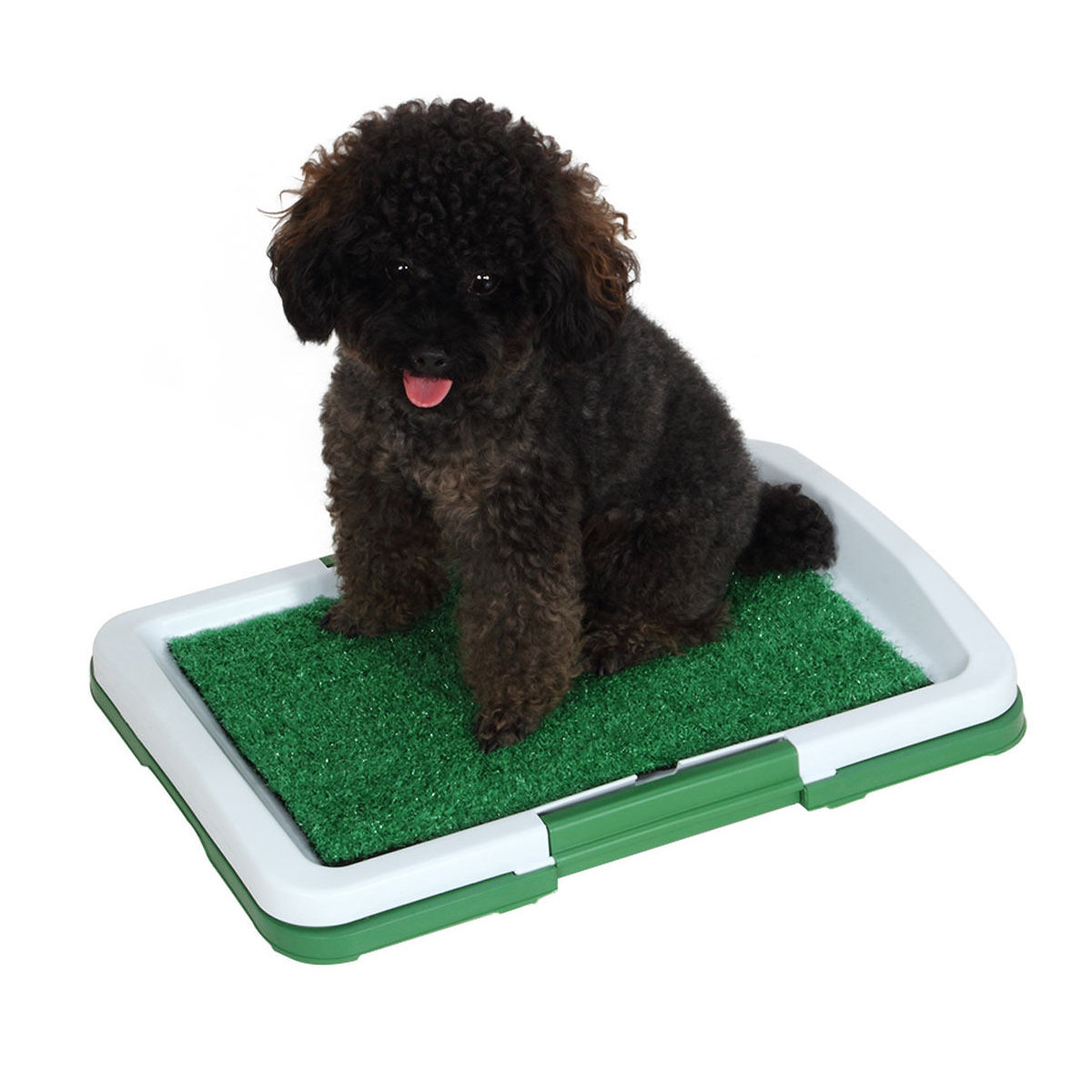 Neat and Portable Pet Potty Pad with Real Grass Feel Wayfair