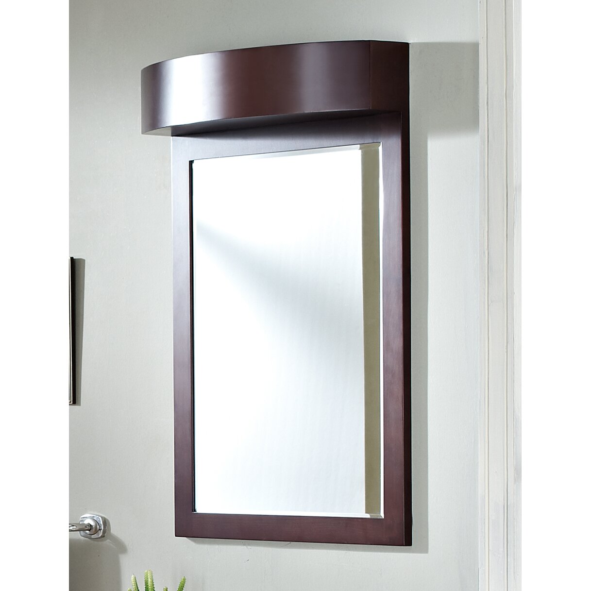 Transitional Birchwood Veneer Wall Mirror by American Imaginations