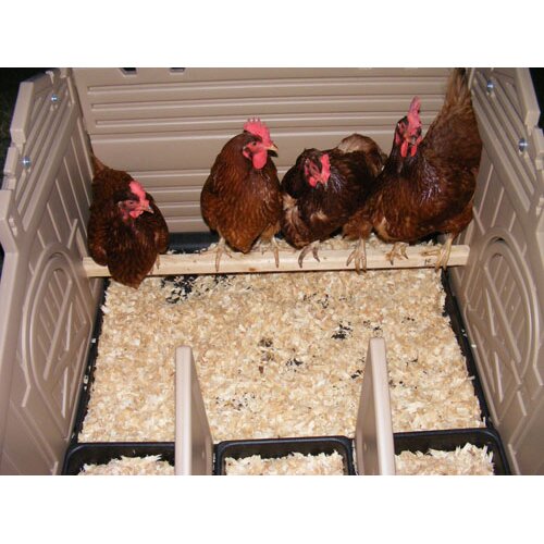 formex-standard-chicken-coop-reviews-wayfair