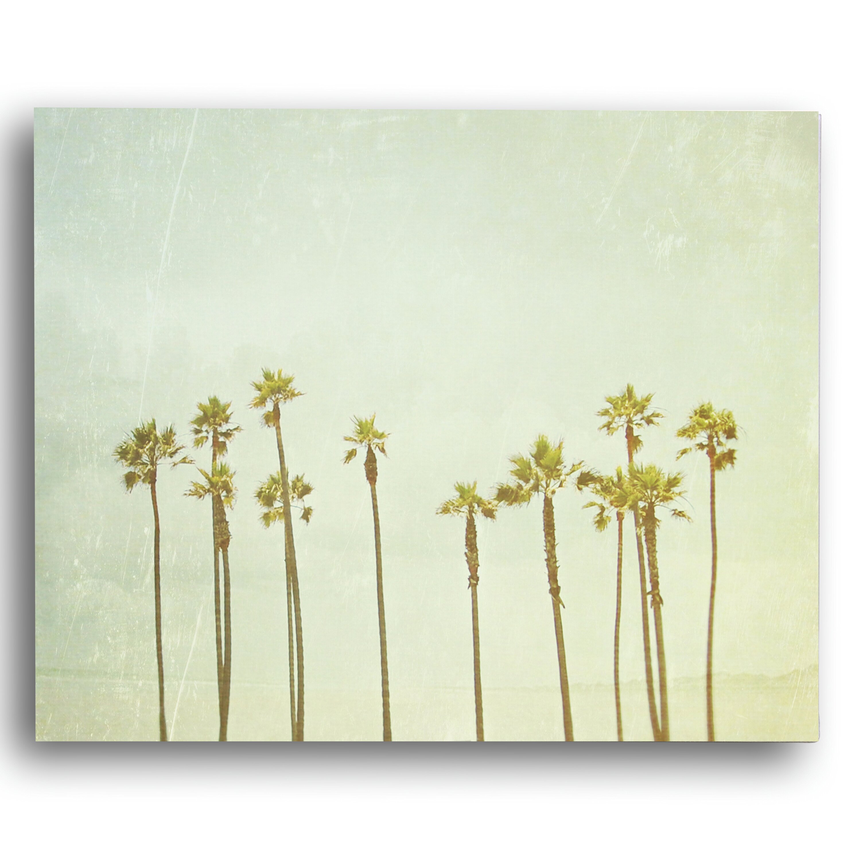 Kindred Sol Collective Palm Tree Dreams by Meagen Higgenbottom