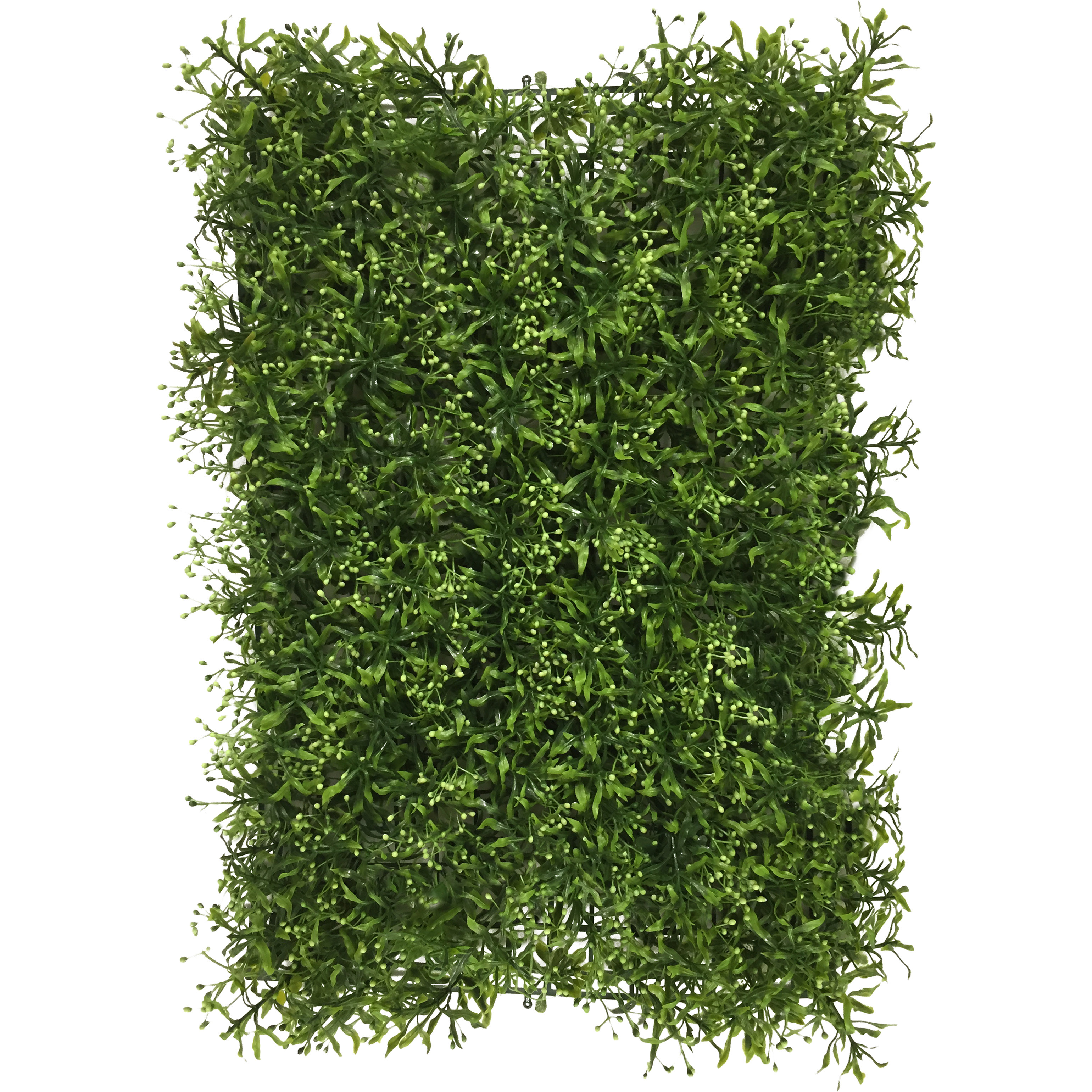 Olean Vertical Grass in Rectangular Planter Wayfair