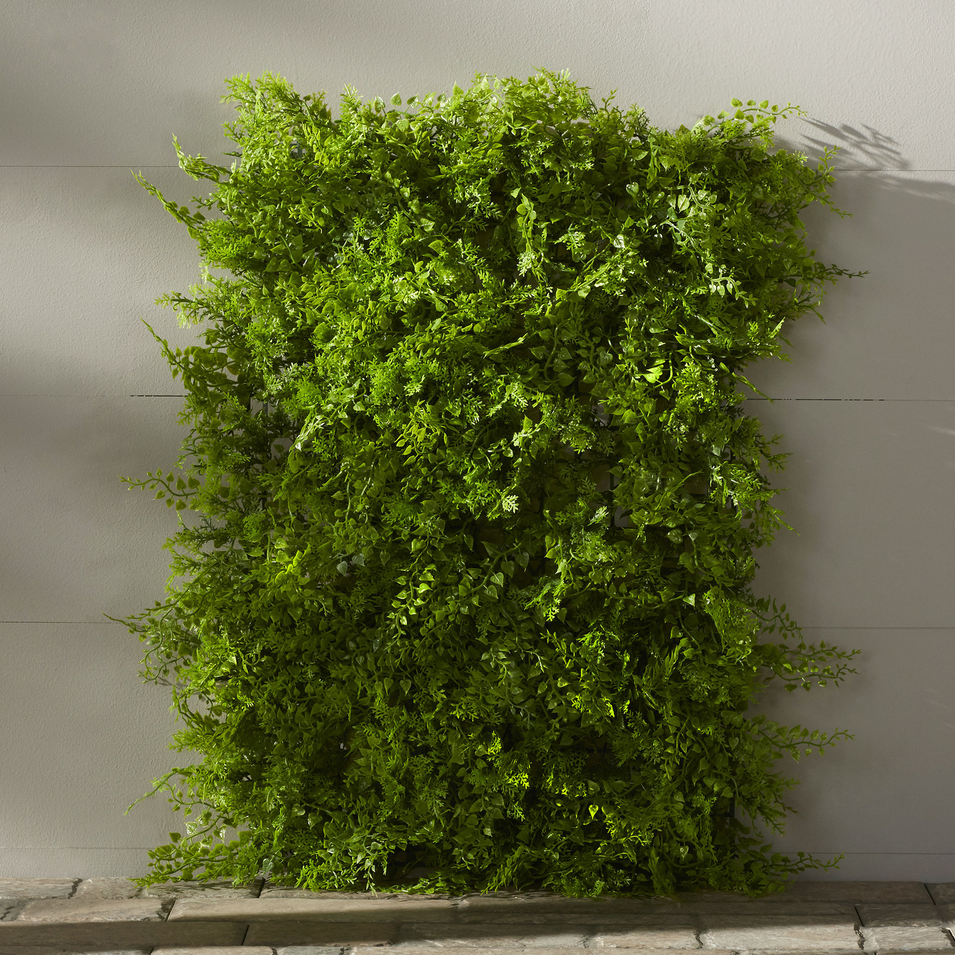 Olean Vertical Grass in Rectangular Planter Wayfair