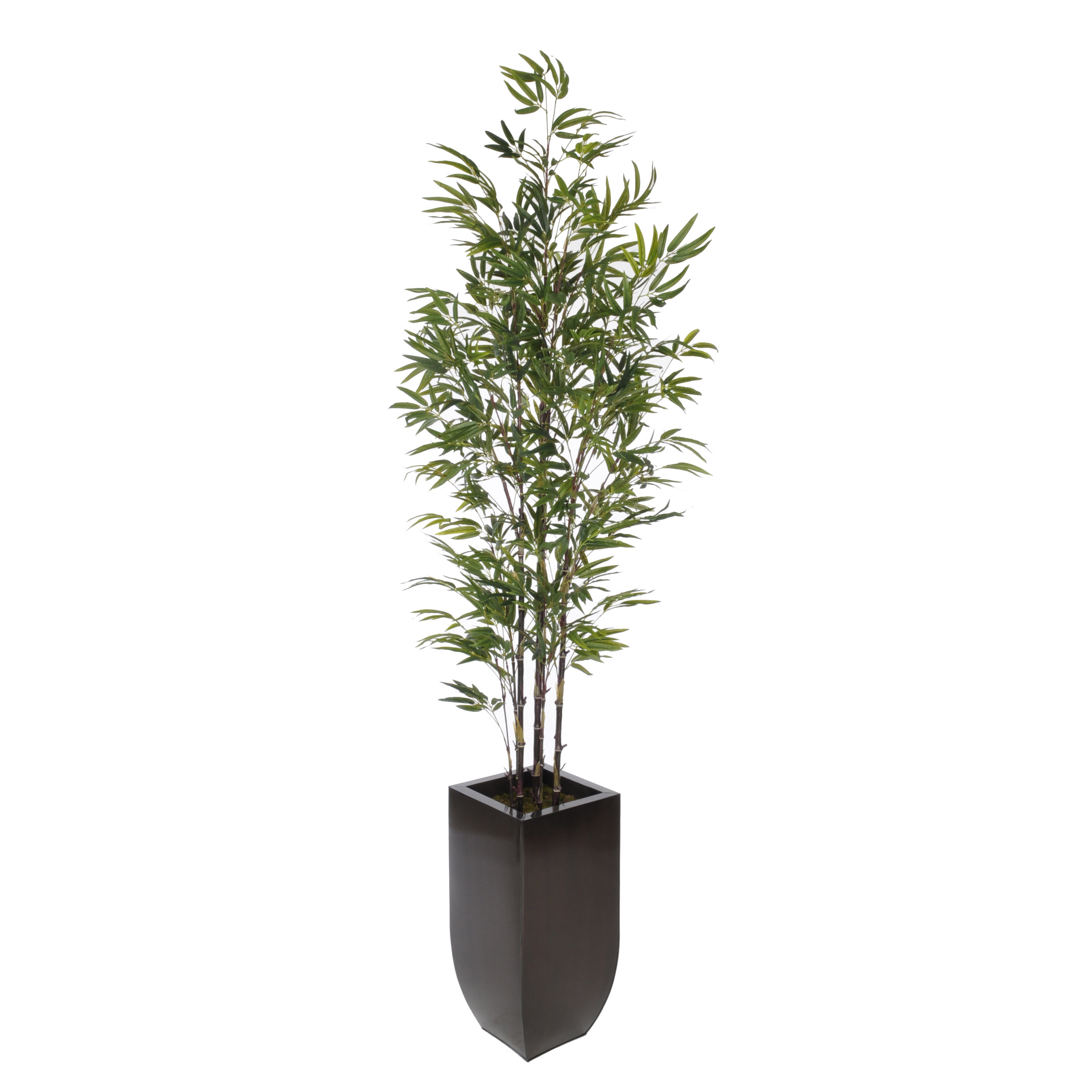 Bungalow Rose Artificial Bamboo Tree in Planter & Reviews Wayfair