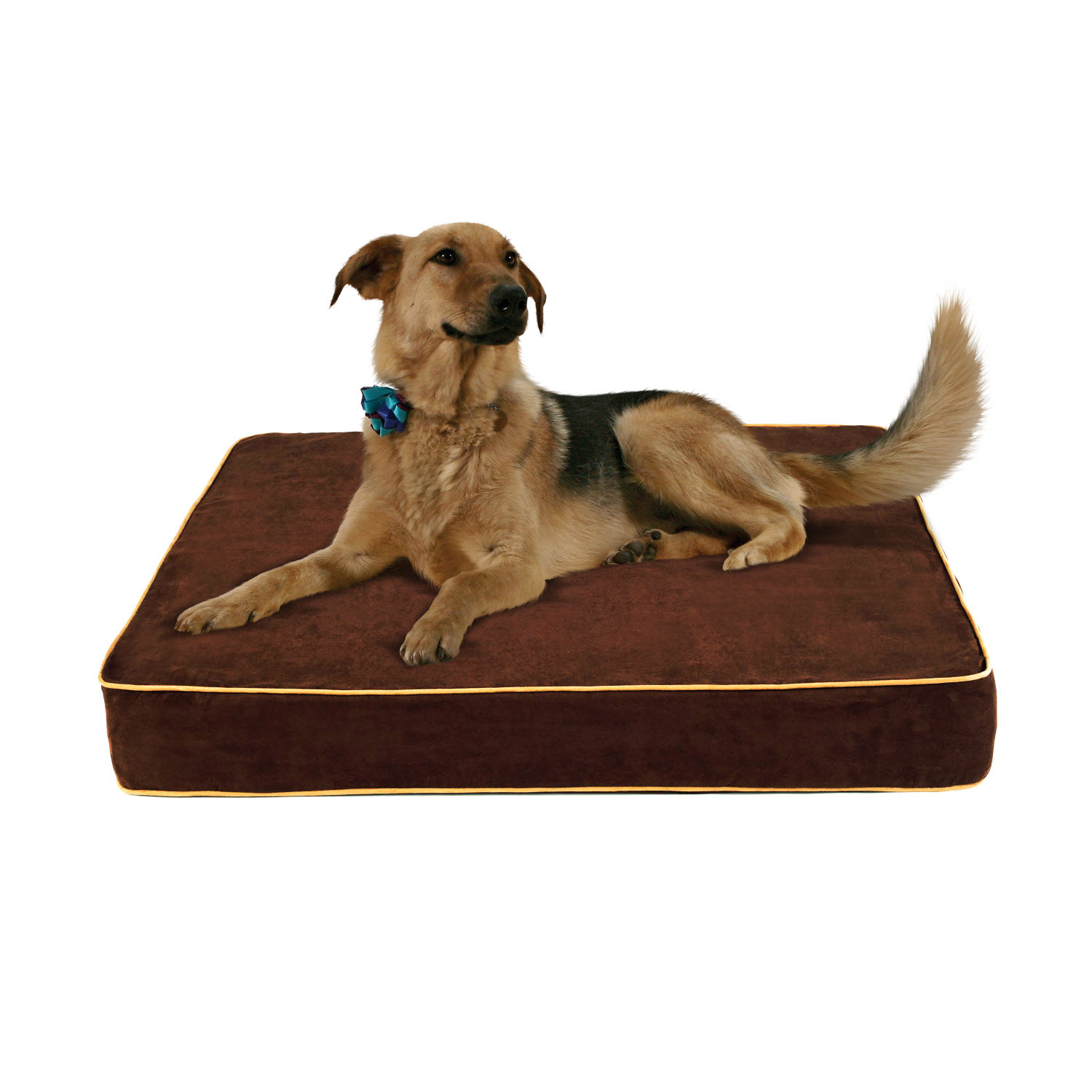 EcoFriendly Dog Bed with Lux Cover Wayfair