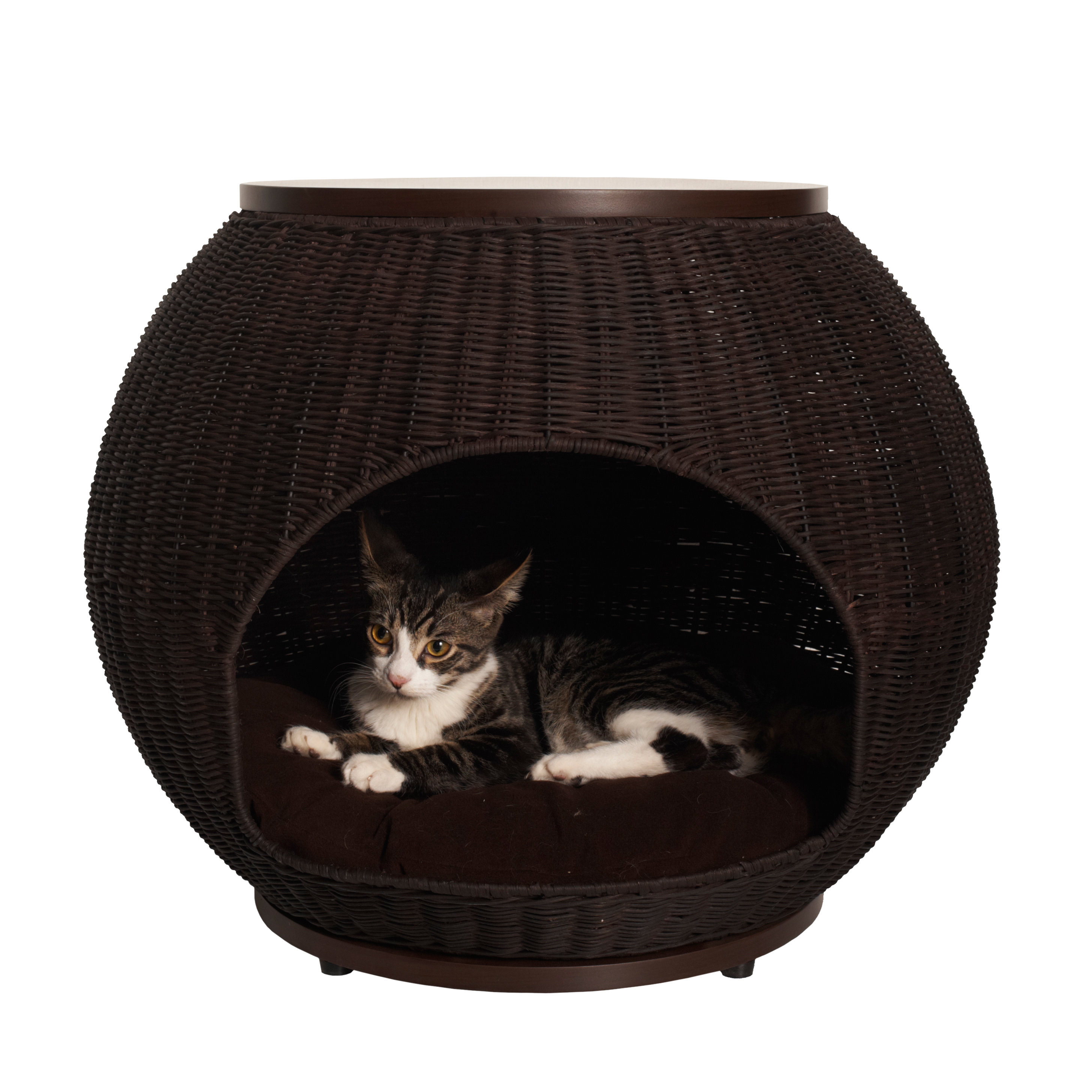 Latitude Run Deluxe Wicker End Table Cat Bed & Reviews Wayfair