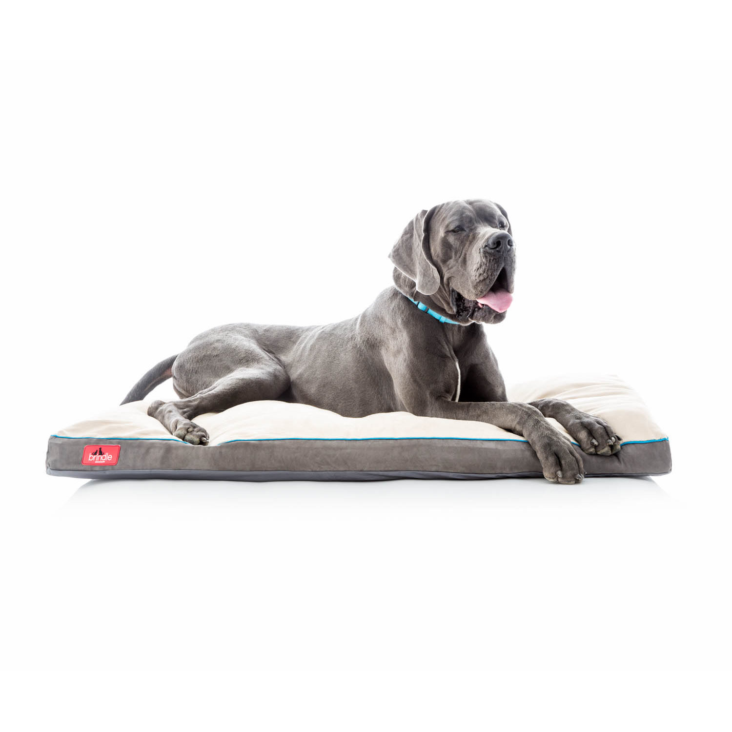 Brindle Soft Shredded Memory Foam Pet Bed & Reviews Wayfair