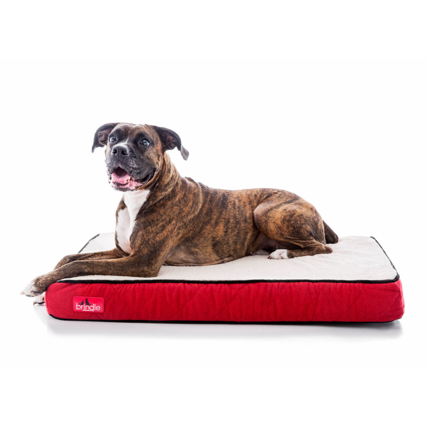 Brindle Waterproof Designer Memory Foam Pet Bed & Reviews Wayfair