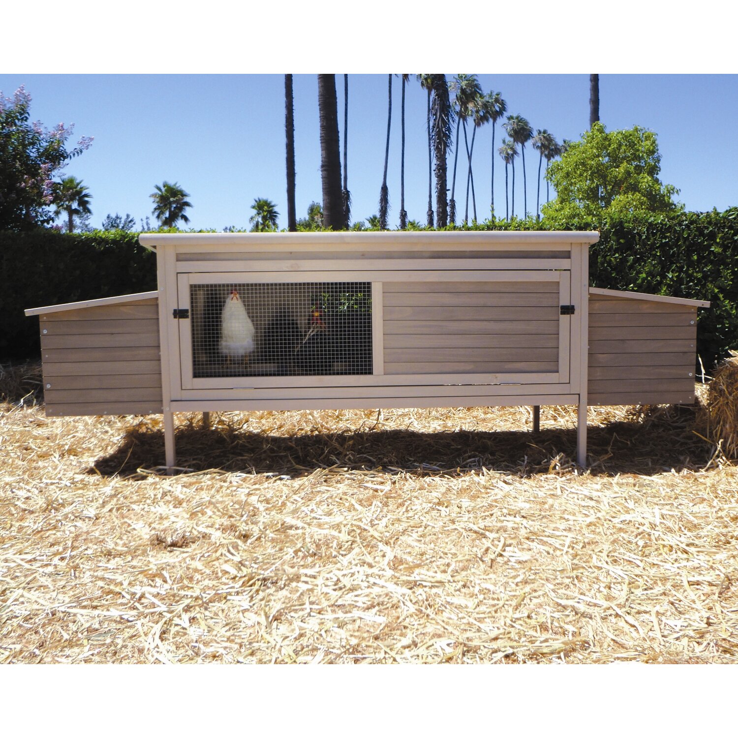 Precision Pet Hen Den Chicken Coop with Nesting Box and Roosting Bar ...