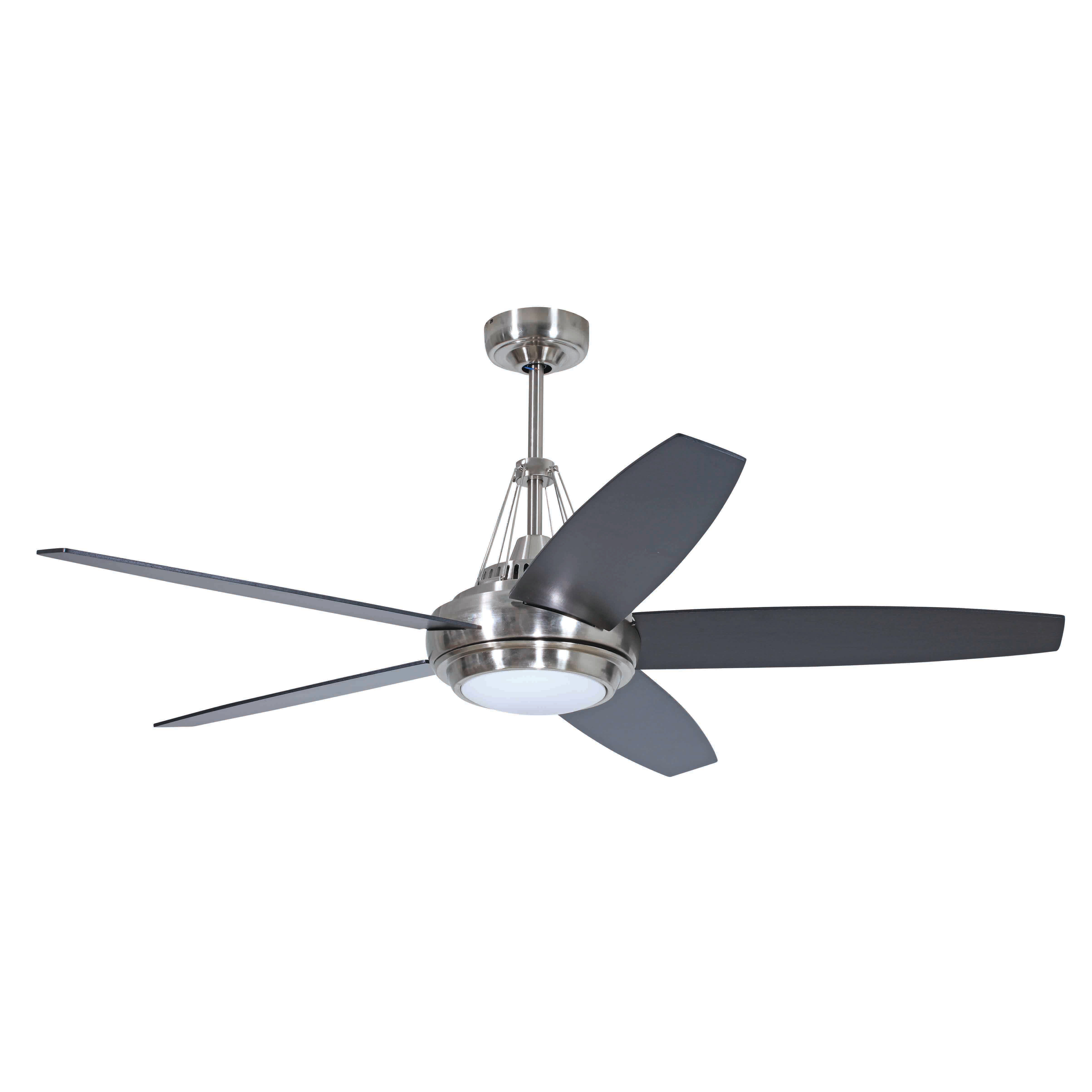 Ceiling Fan Making Grinding Tags 10 Blade Ceiling Fan