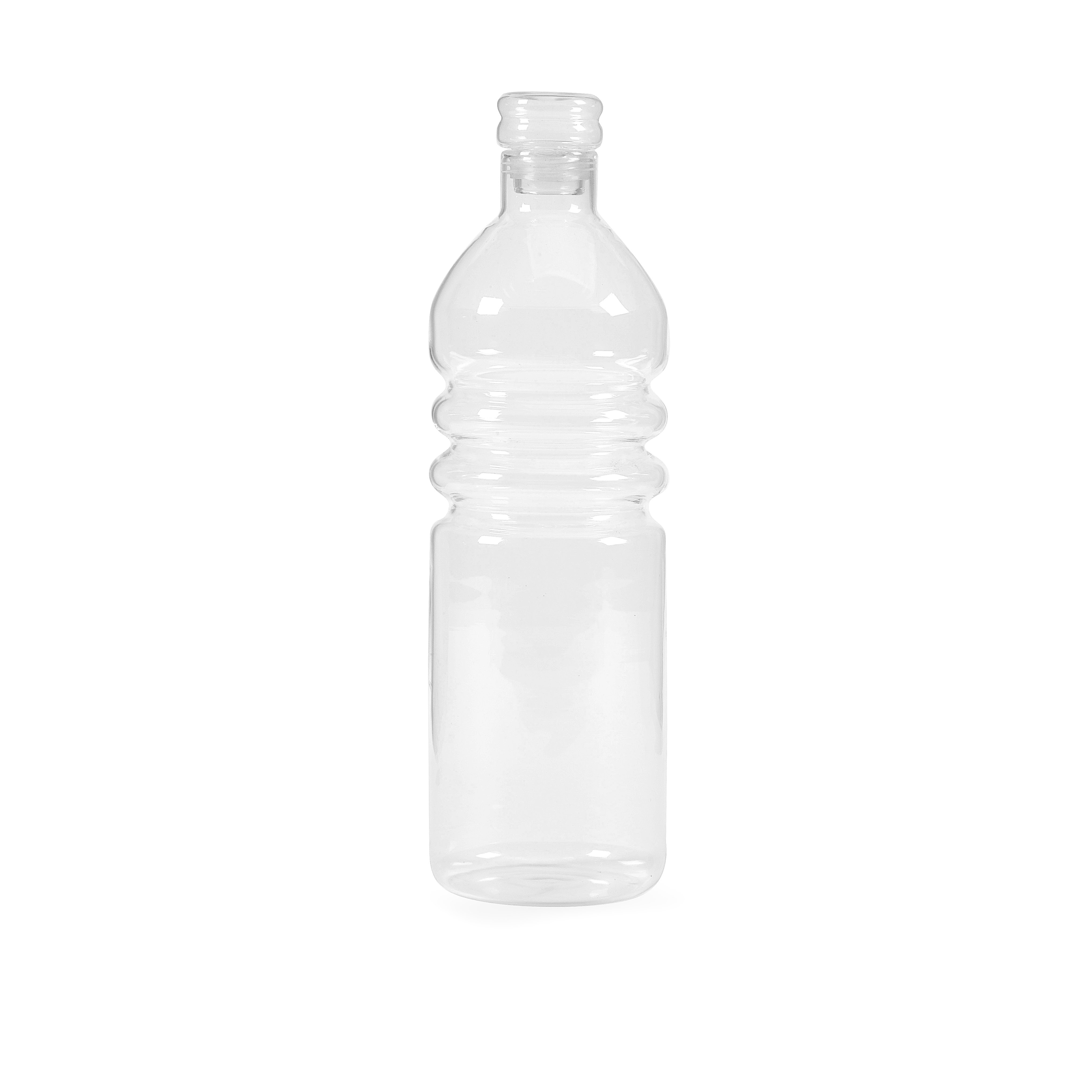 IMAX Tyler Borosilicate Glass Water Bottle & Reviews Wayfair