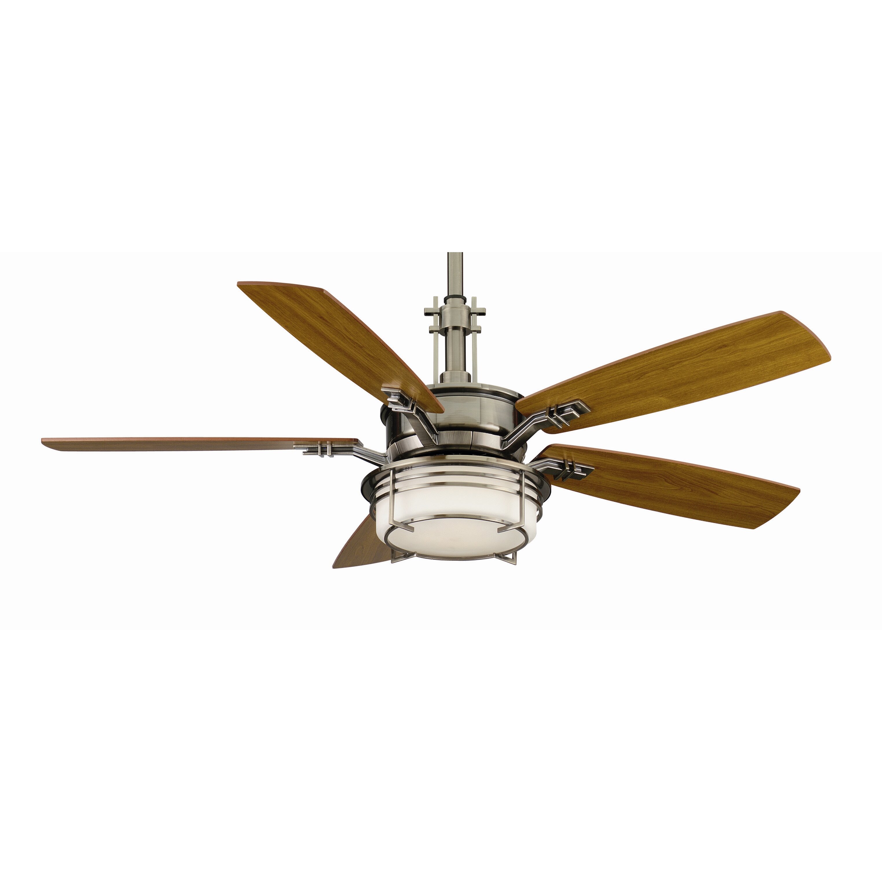 Fanimation 54" Andover 5 Blade Ceiling Fan & Reviews | Wayfair