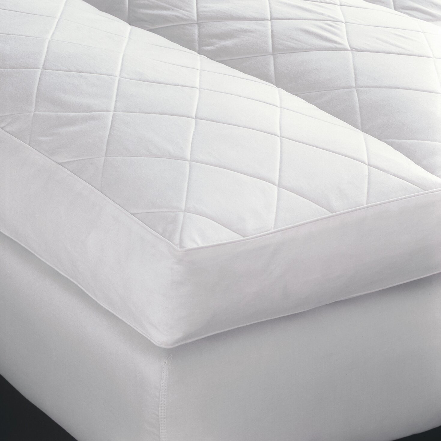 Downright Classic 100% Cotton Feather Bed & Reviews | Wayfair