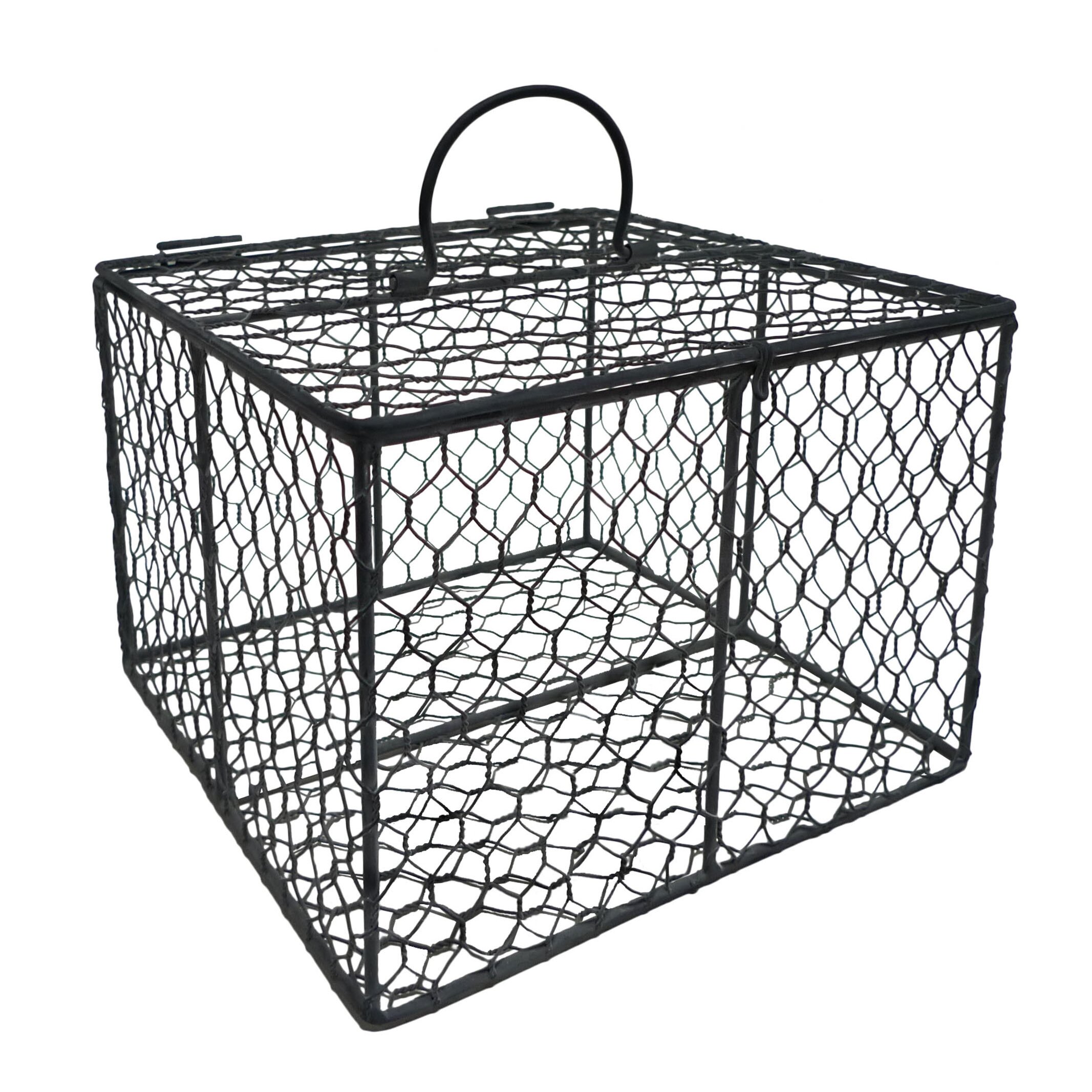 Square Chicken Wire Box with Attached Lid and Handles | Wayfair