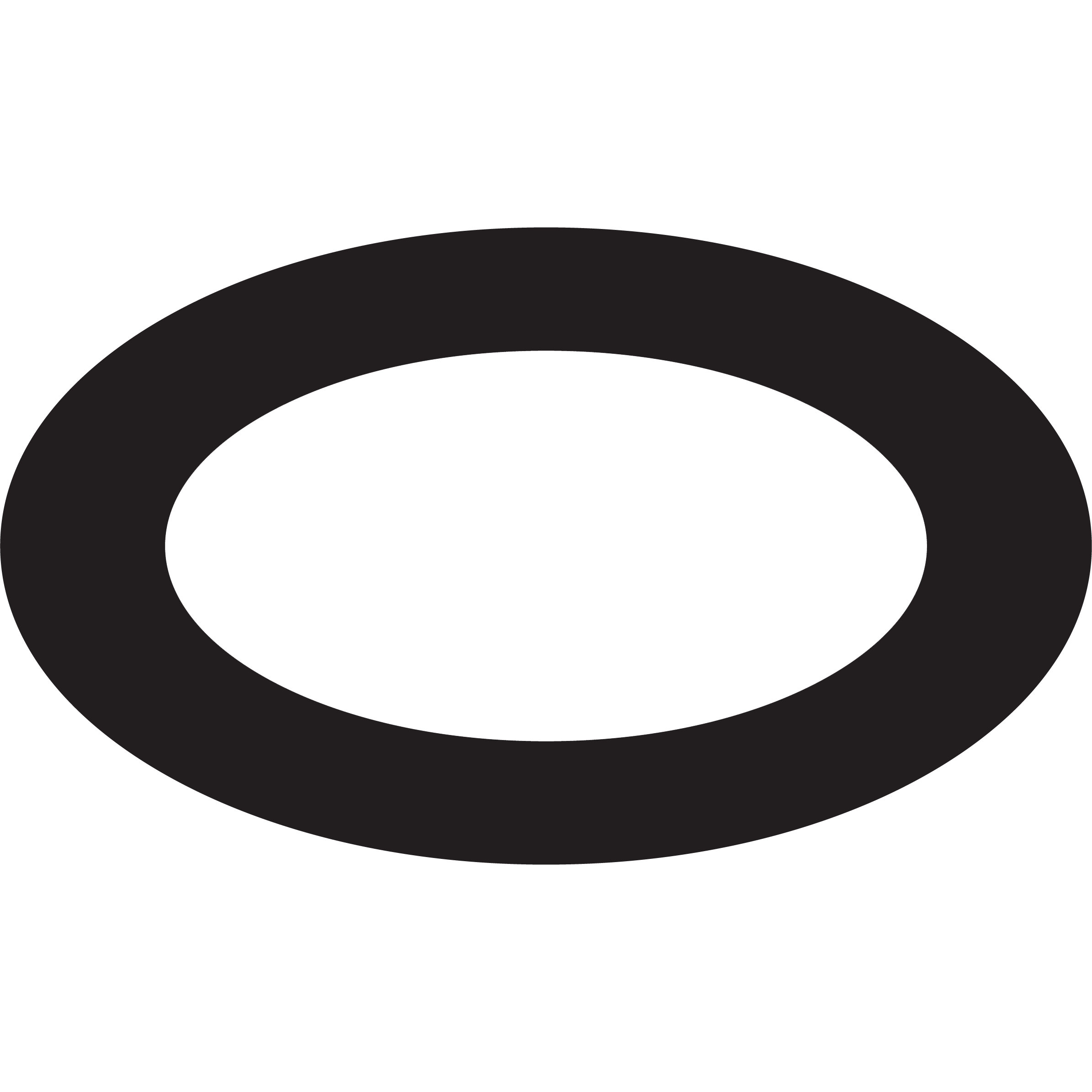 ORing for Shower Arm Wayfair