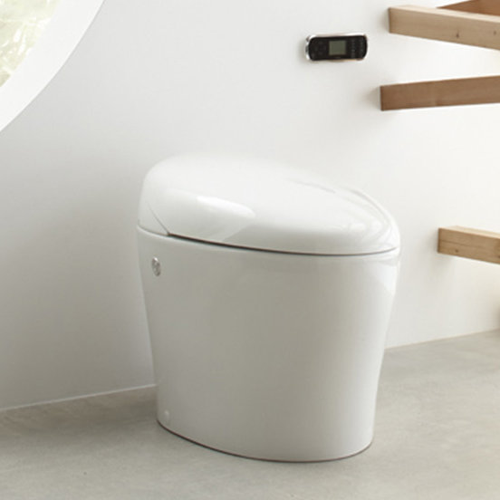 Kohler Karing Skirted OnePiece Elongated Toilet with Bidet