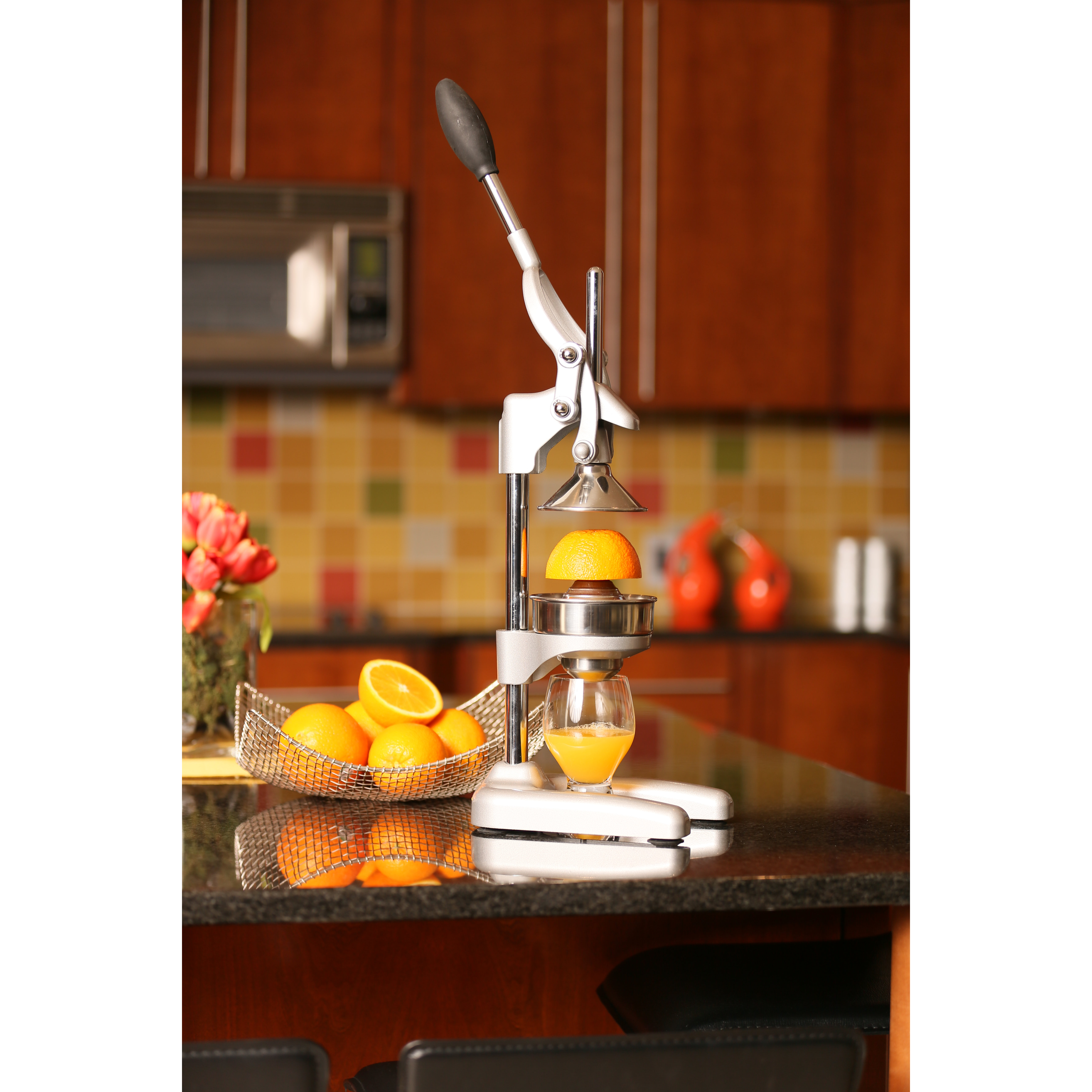 Frieling Cilio Orange Press & Reviews Wayfair