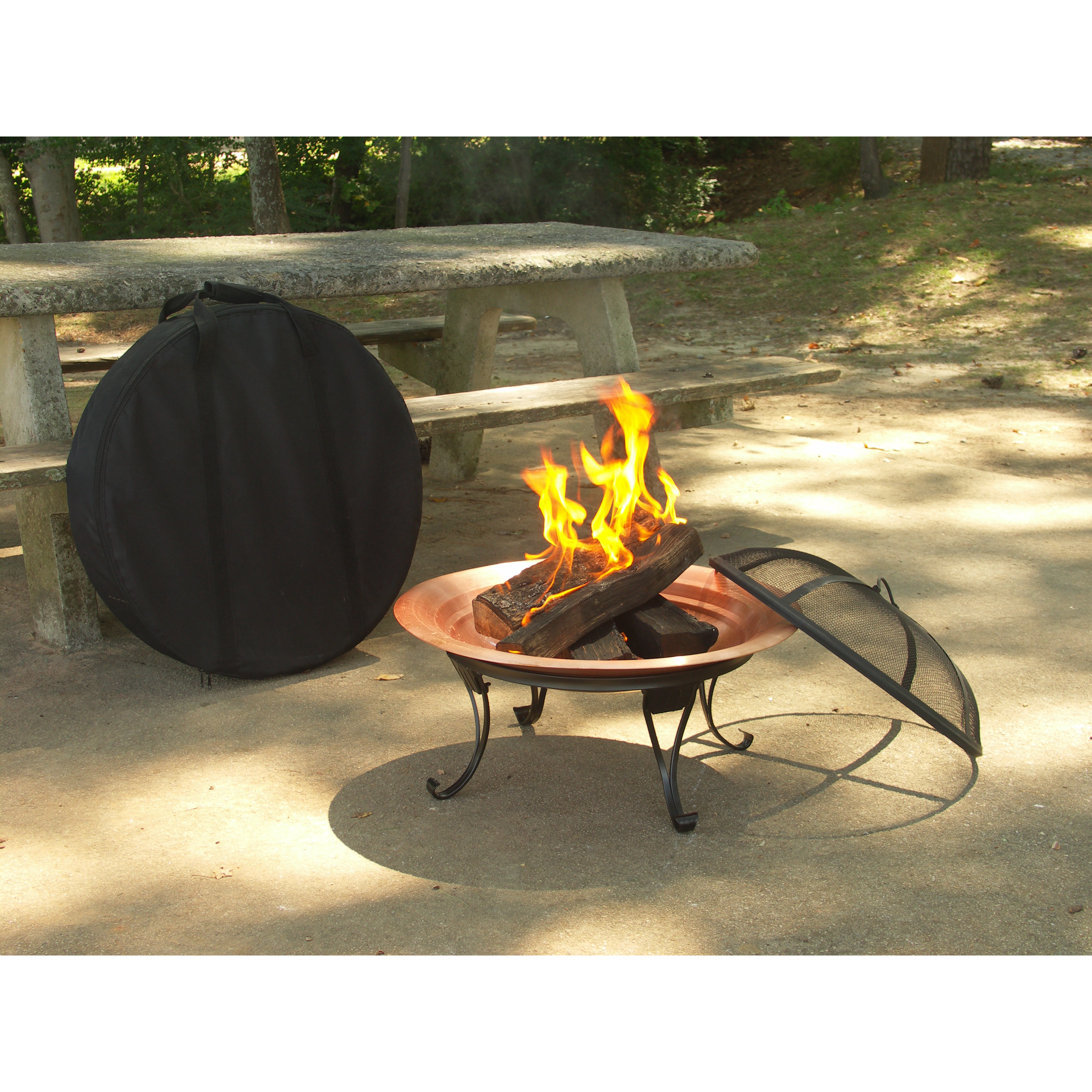 Corral Copper Folding Fire Pit & Reviews Wayfair