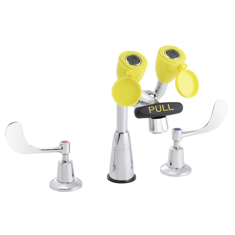 Eyesaver Double Handle Eyewash Faucet Wayfair